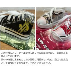 画像5: Areon Fresh Wave  Air Freshener ( New Car )