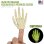 画像1: GLOW-IN-THE-DARK SKELETON FINGER HANDS (1)