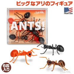画像1: ANTS!