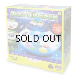 画像11: Creativity for Kids Crystal Space Terrarium