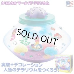 画像1: Creativity for Kids Crystal Mermaid Terrarium