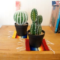 画像4: Elpaso Serape Coasters【全8色】