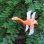 画像4: Flamingo Pinwheel Garden Stake【全4種】