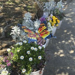 画像7: Butterfly Garden Stake【全4種】