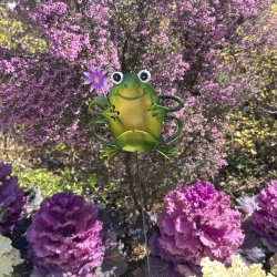 画像6: Frog Garden Stake【全2種】