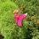 画像3: Flamingo Spinner Garden Stake