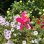 画像6: Flamingo Spinner Garden Stake