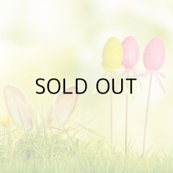 画像6: Easter Egg Picks 24pk