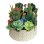 画像17: Fresh-cut Paper POP-UP Flower Bouquet