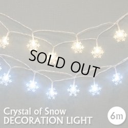 画像1: Crystal of Snow Decoration Light 6m 40LED【全2種】
