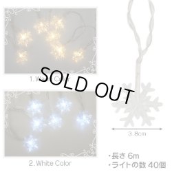 画像2: Crystal of Snow Decoration Light 6m 40LED【全2種】