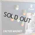 3D Cactus Magnet【全2種】
