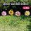 画像1: Colorful Daisy Garden Stake【全4種】 (1)
