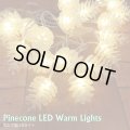 Pinecone LED Warm Lights【3ｍ・20球】