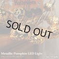 Metallic Pumpkin LED Light【1.5ｍ・10球】