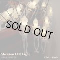 Skeleton LED lights【1.5ｍ・10球】