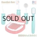 My World My Play Dentist Set
