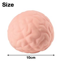画像2: Brain Squeeze