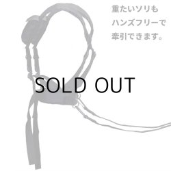 画像2: Jet Sled Shoulder Harness