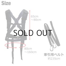 画像4: Jet Sled Shoulder Harness