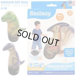 画像1: DINOSAUR BOP BAGS【全3種】