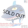 RASKULLZ Bike And Skate Helmet Shark Jawz