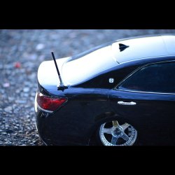 画像6: 【取り寄せ品】トランクリッドアンテナ　Trunk Lid Antenna