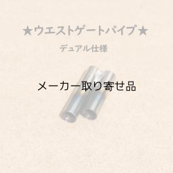 画像1: ウエストゲートパイプ デュアル 焼色加工（5Φ / 7Φ）