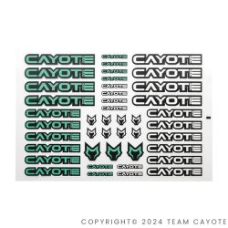 画像1: CAYOTE ステッカー レーシング用（２枚入）/ CAFS02