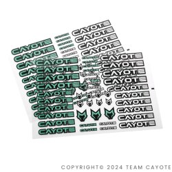 画像2: CAYOTE ステッカー レーシング用（２枚入）/ CAFS02