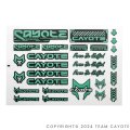 CAYOTE ステッカー レーシング用（２枚入）/ CAFS03