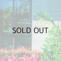 画像6: Garden Wooden Signplate【全18種】