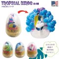 Tropical Birds【全4種】