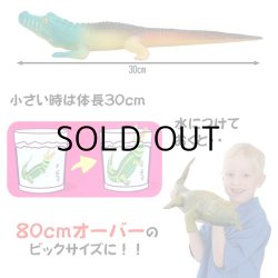 画像3: GROW CROCODILE 【全4種】