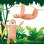 画像3: Bendy Sloth (3)