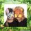 画像4: Wild Animal Foam Mask (12Peaces)
