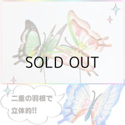 画像3: Double Wings Butterfly Yard Stake【全4種】