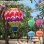 画像1: Air Balloon Spinner COLOR PRINTS【全5種】 (1)