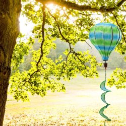 画像9: Air Balloon Spinner COLOR PRINTS【全6種】