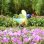 画像5: Yard Stake Colorful Bird with Pinwheels【全8種】