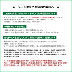 画像6: Little Trees NEW CAR SET【メール便送料無料】