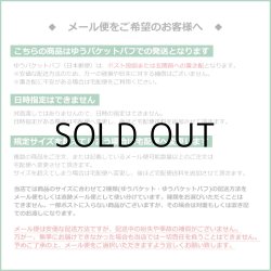 画像6: Little Trees BLACK ICE SET【メール便送料無料】