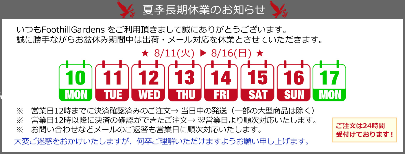 夏季休業