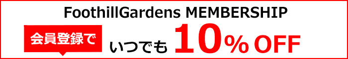 会員登録10％OFF