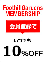 会員登録10％OFF