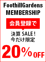 決算メンバーシップ20パーオフ