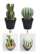 画像3: Flower Cactus Decorations【全5種】