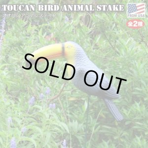 画像: Toucan Bird Animal Stake【全2種】
