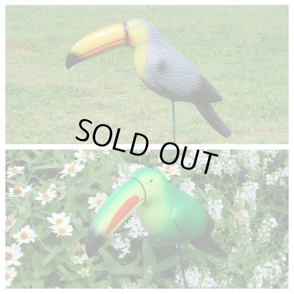 画像5: Toucan Bird Animal Stake【全2種】