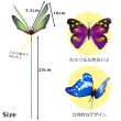 画像2: Butterfly Pick